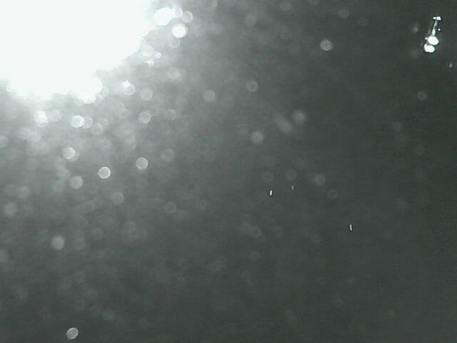 time-lapse frame, Cowes Yacht Club - West webcam