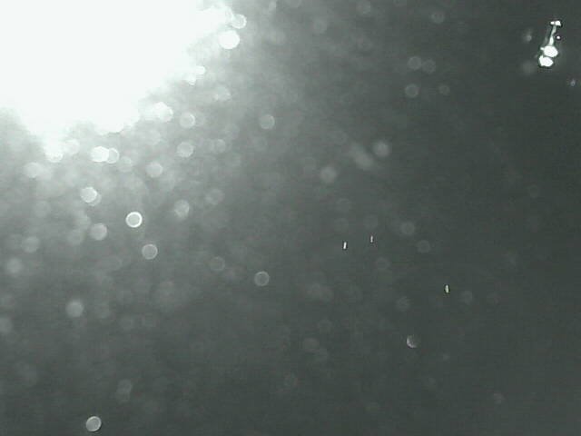 time-lapse frame, Cowes Yacht Club - West webcam
