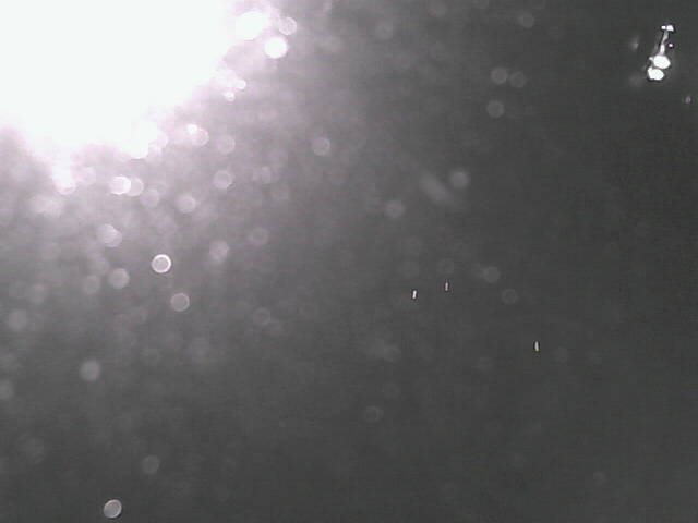 time-lapse frame, Cowes Yacht Club - West webcam