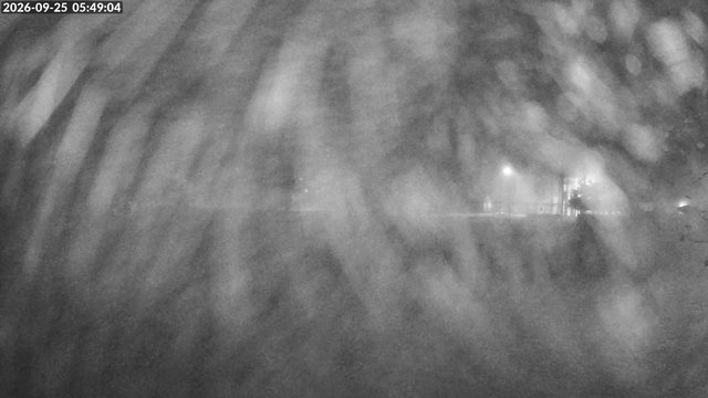 time-lapse frame, Arrowhead Park webcam