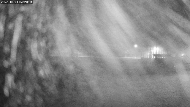 time-lapse frame, Arrowhead Park webcam