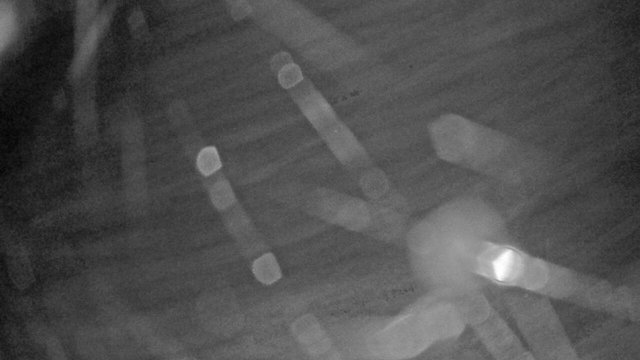 time-lapse frame, Sugarbush Terrain Park webcam