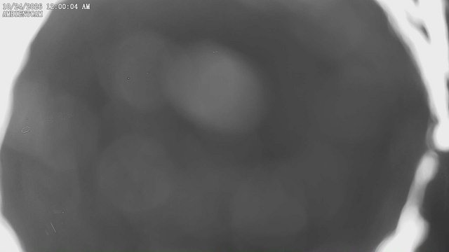 time-lapse frame, ambientcam webcam