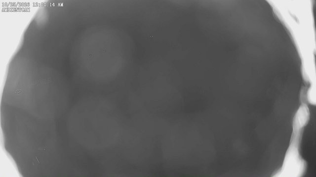 time-lapse frame, ambientcam webcam