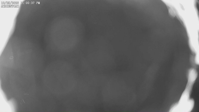 time-lapse frame, ambientcam webcam