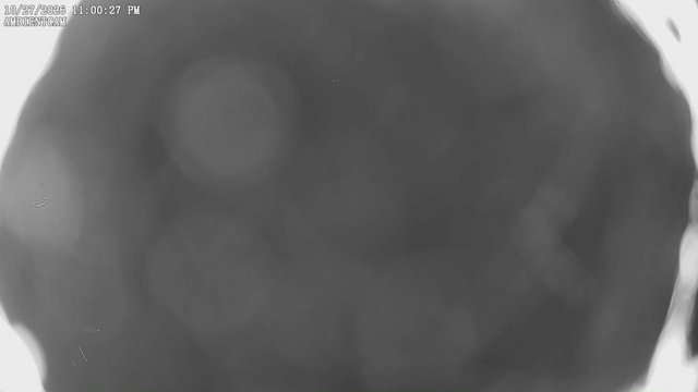 time-lapse frame, ambientcam webcam