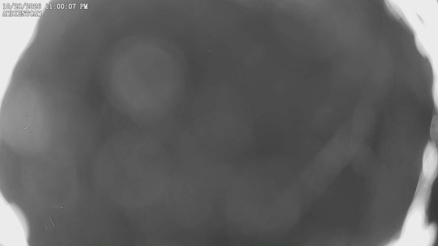 time-lapse frame, ambientcam webcam