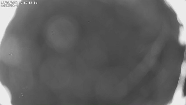 time-lapse frame, ambientcam webcam