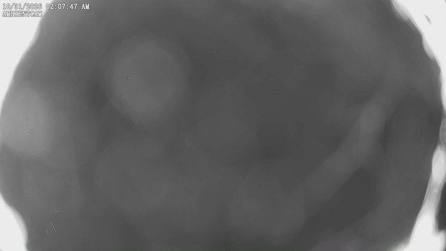 view from ambientcam on 2026-10-31