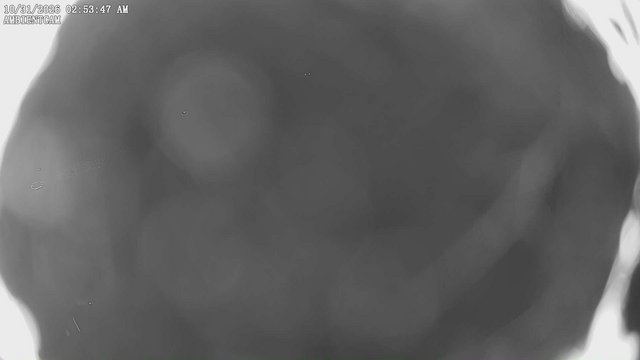 time-lapse frame, ambientcam webcam