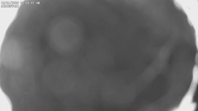 view from ambientcam on 2026-10-31