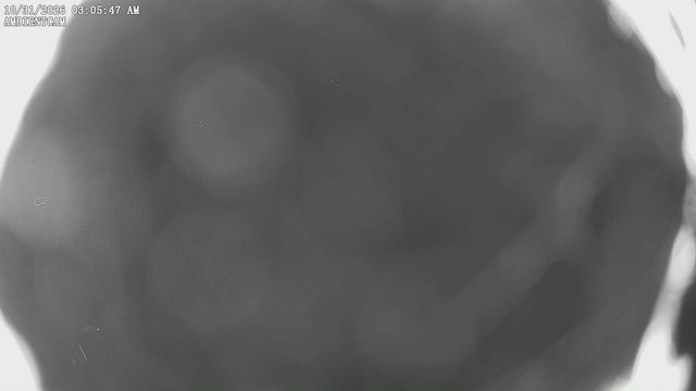 view from ambientcam on 2026-10-31