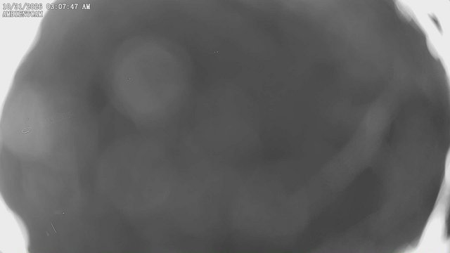 view from ambientcam on 2026-10-31