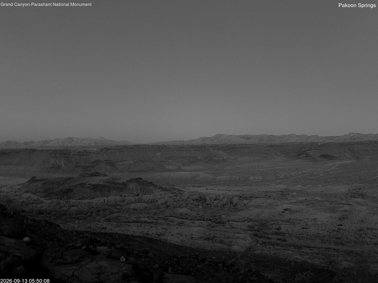 time-lapse frame, Pakoon Springs webcam