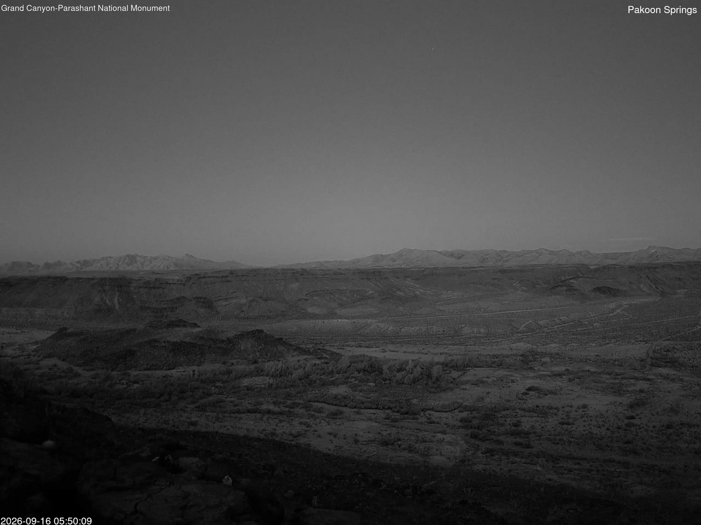 time-lapse frame, Pakoon Springs webcam