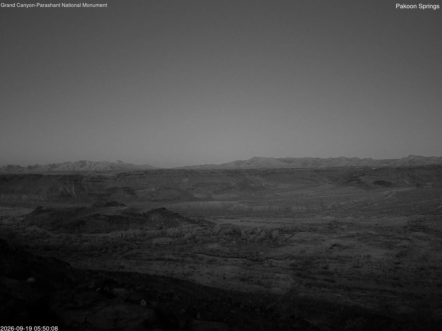 time-lapse frame, Pakoon Springs webcam