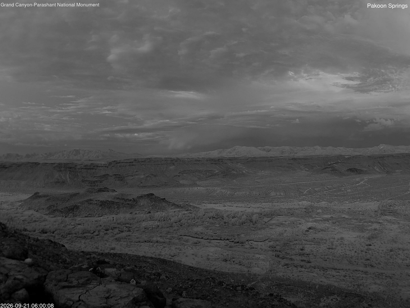 time-lapse frame, Pakoon Springs webcam