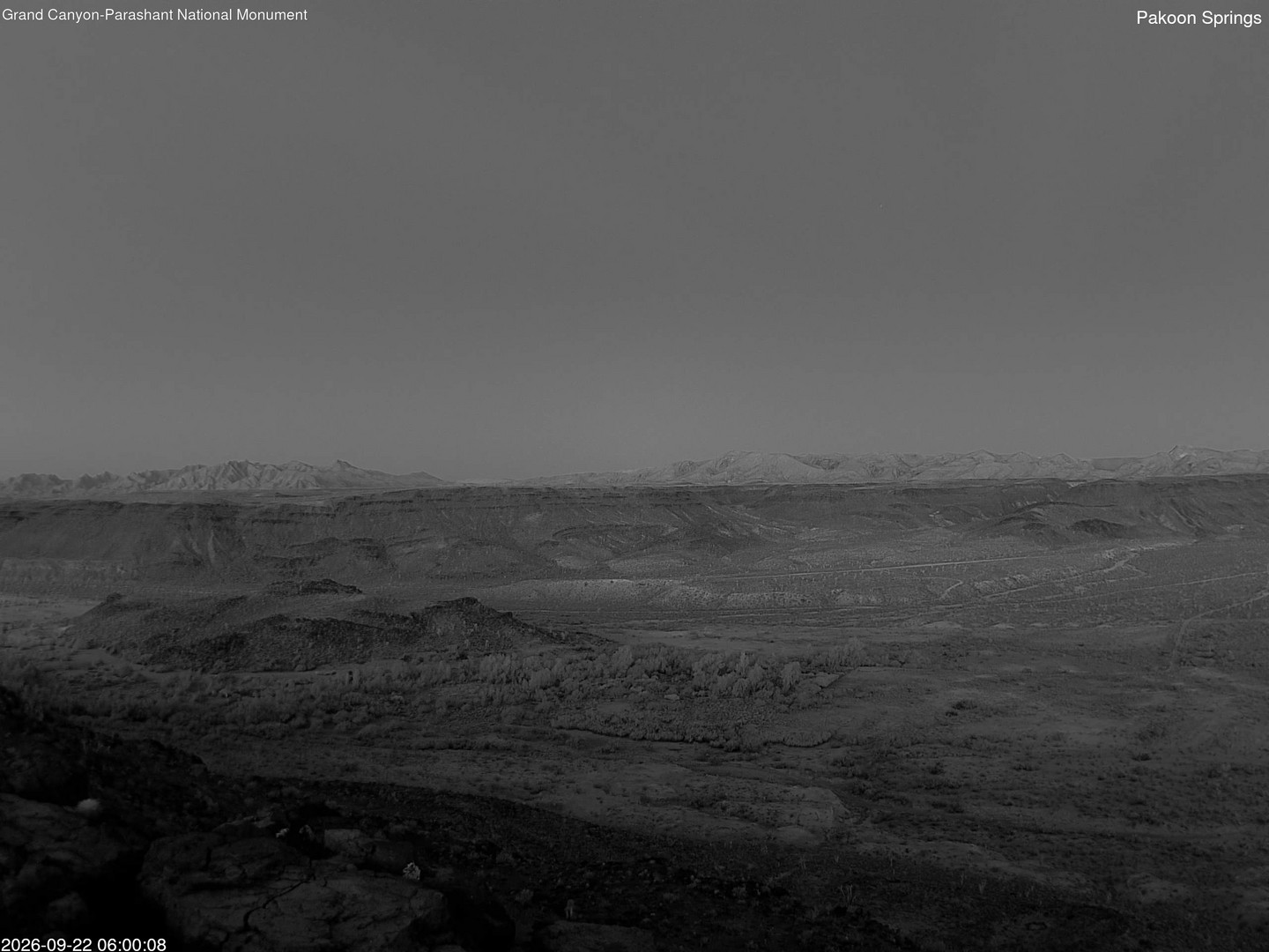 time-lapse frame, Pakoon Springs webcam