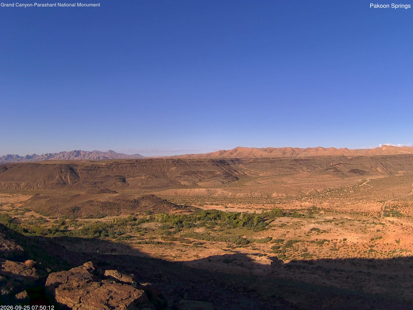 view from Pakoon Springs on 2026-09-25