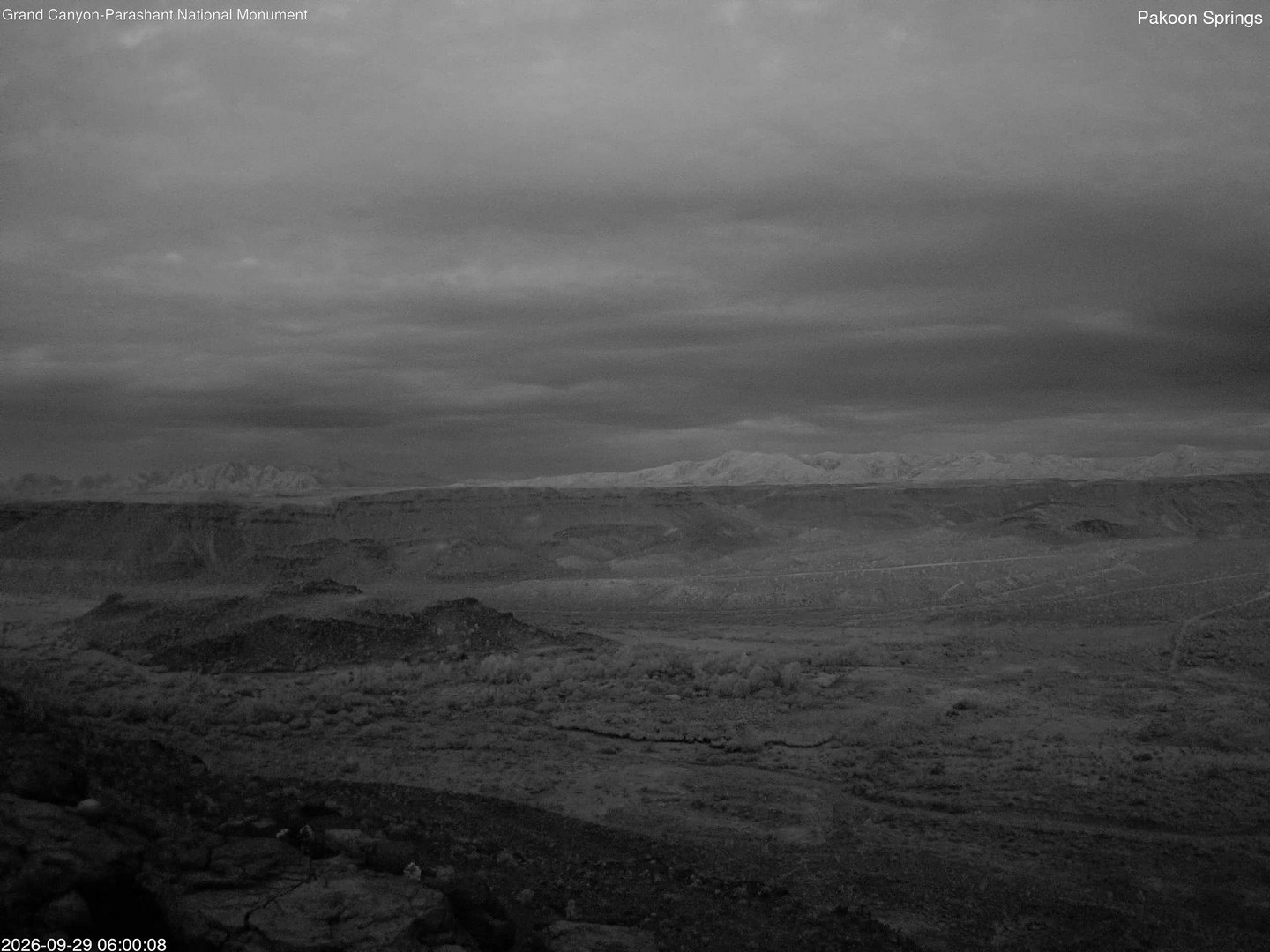 time-lapse frame, Pakoon Springs webcam