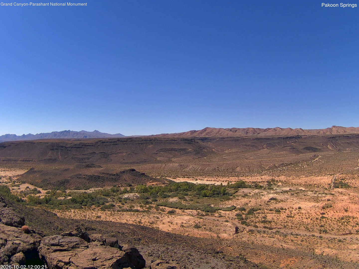 view from Pakoon Springs on 2026-10-02