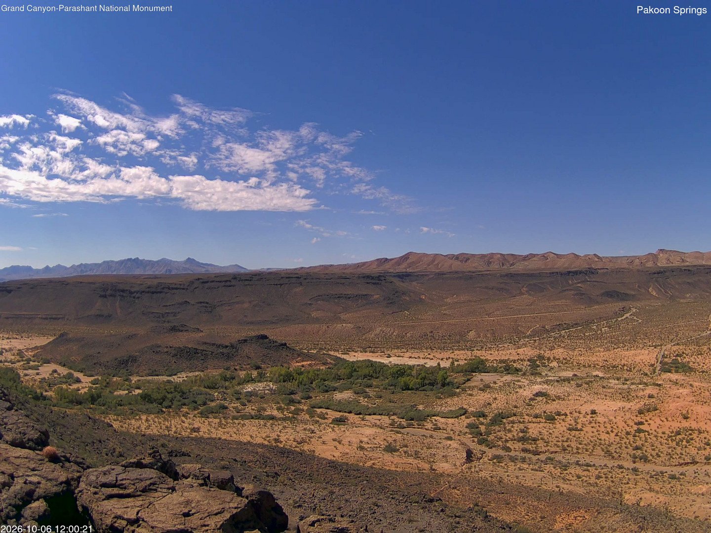 view from Pakoon Springs on 2026-10-06