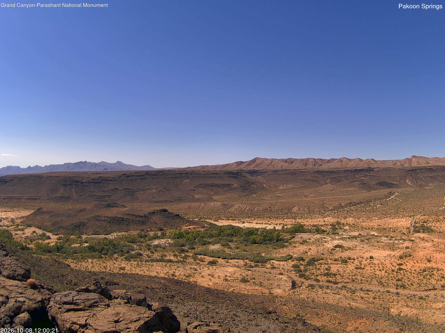 view from Pakoon Springs on 2026-10-08