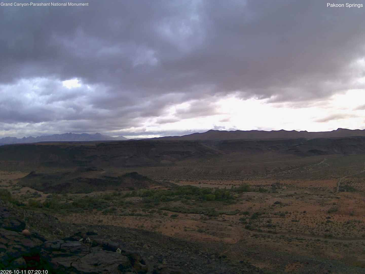 time-lapse frame, Pakoon Springs webcam