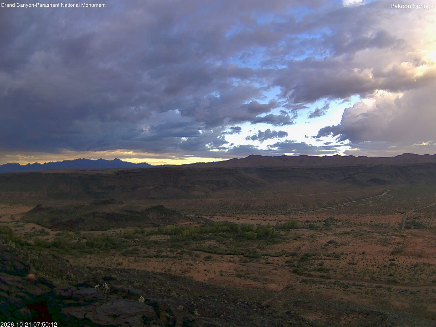 time-lapse frame, Pakoon Springs webcam