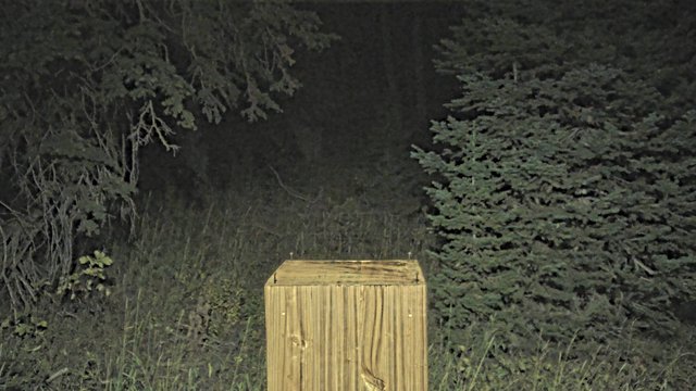 time-lapse frame, Deer Valley Snow Stake webcam