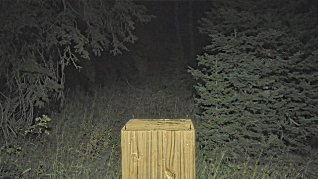 time-lapse frame, Deer Valley Snow Stake webcam