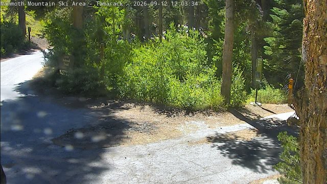 view from Mammoth Tamarack Lodge on 2026-09-12