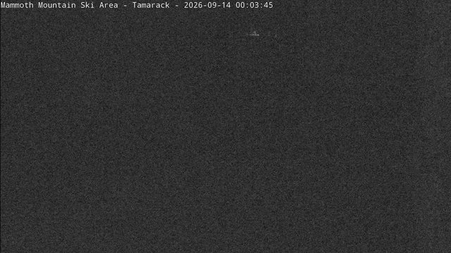 time-lapse frame, Mammoth Tamarack Lodge webcam