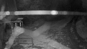 Sugarbush Castler... animated GIF