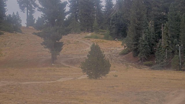 view from Snow Valley Base Cam on 2026-09-07