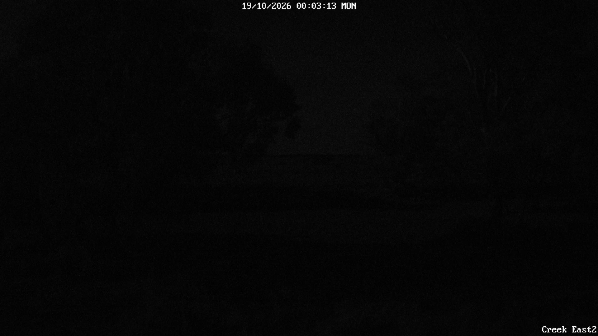 time-lapse frame, CreekCam East webcam