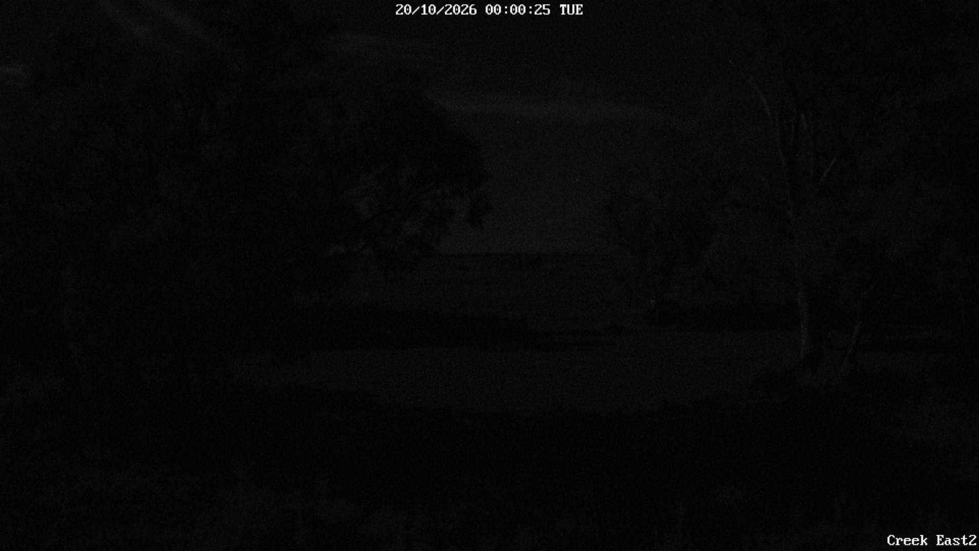 time-lapse frame, CreekCam East webcam