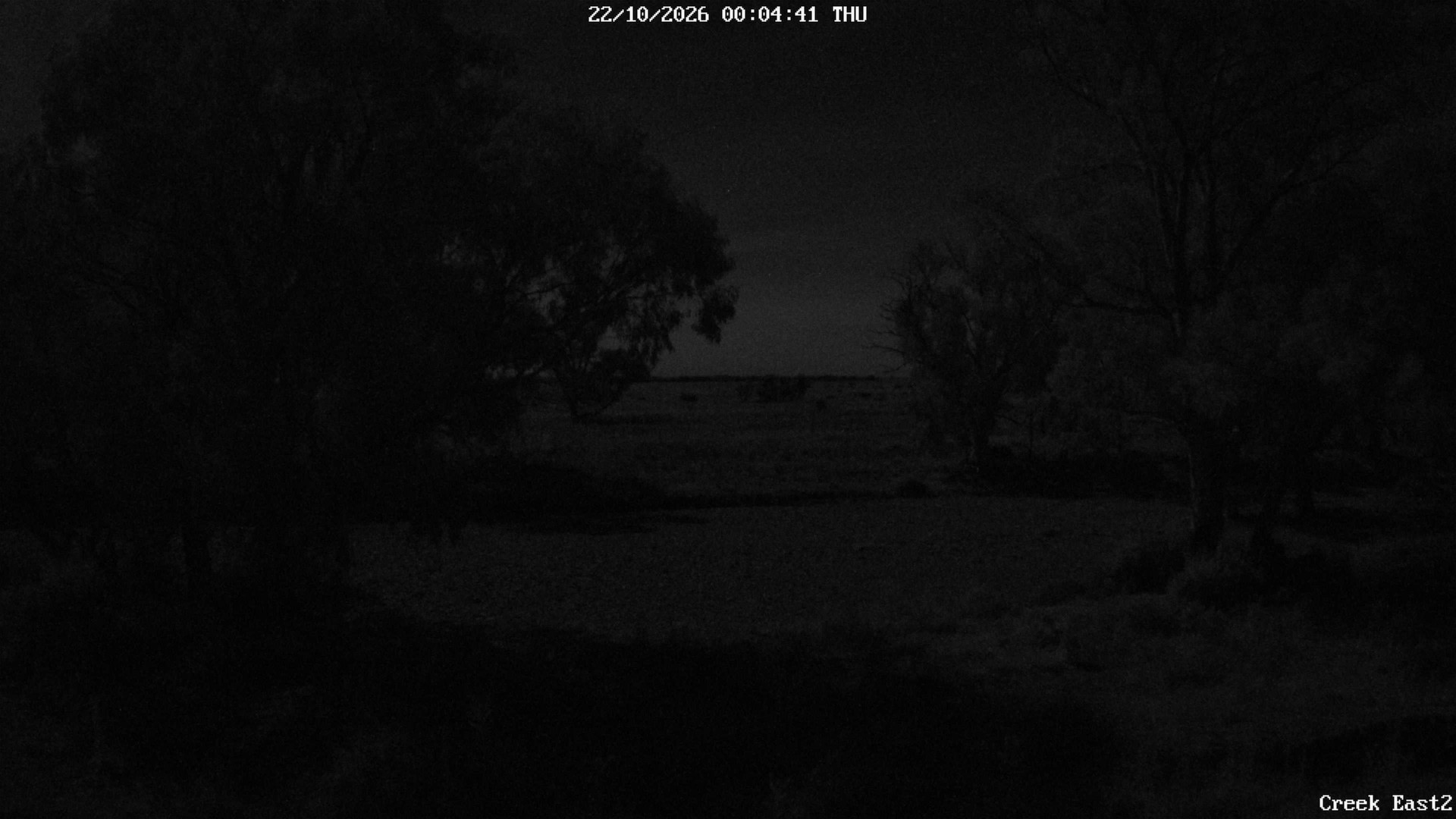 time-lapse frame, CreekCam East webcam