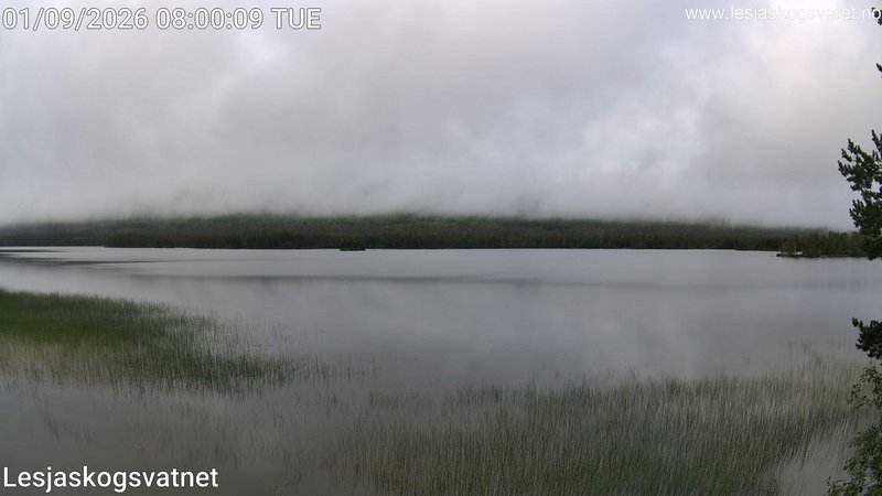 time-lapse frame, Lesjaskogsvatnet webcam